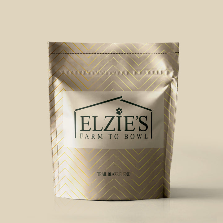 INTRO TO ELZIE'S SAMPLER! (surprise goodies included)